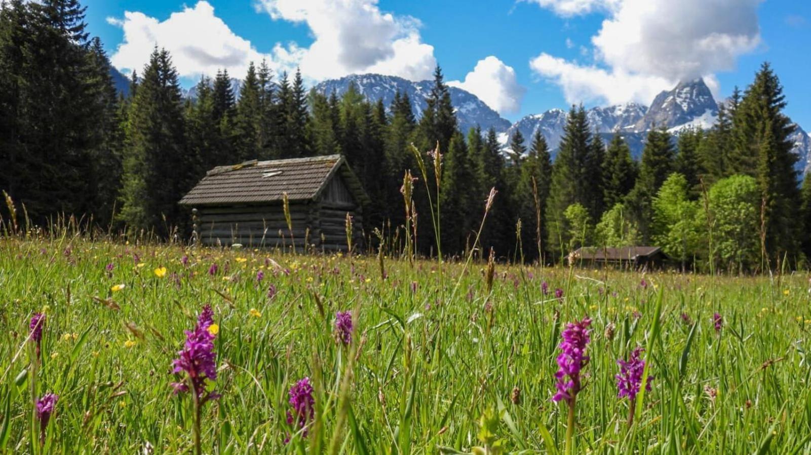 Haus An Der Sonne Fewo 2 Бибервир Екстериор снимка